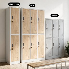 Šatníková skriňa BHP, zamestnanecká, jednotlivá, 2 priehradky s tyčou, biela/dub sonoma, 316,5x1850x450 mm: IGOR 1 Plus Eco Design