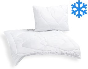 Brotex Detská súprava Thermo 90x135/45x60 cm