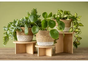 Bambusový stojan na kvety ø 18 cm – Esschert Design
