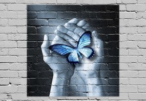 Fototapeta - Motýľ na stene (147x102 cm)