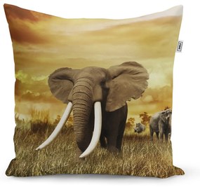 Sablio Vankúš Slon Africký - 60x60 cm