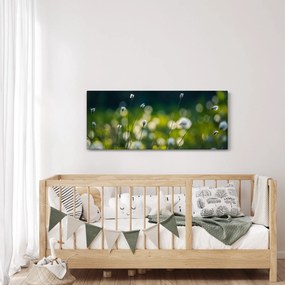 Obraz - Tráva (120x50 cm)
