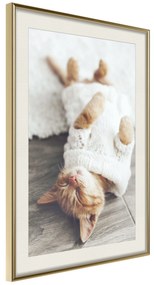 Artgeist Plagát - Lazy Cat [Poster] Veľkosť: 20x30, Verzia: Zlatý rám s passe-partout