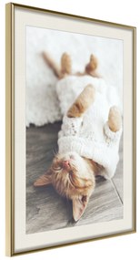 Artgeist Plagát - Lazy Cat [Poster] Veľkosť: 20x30, Verzia: Zlatý rám