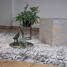 Obsession Kusový koberec My Phoenix 120 Grey Rozmer koberca: 160 x 230 cm