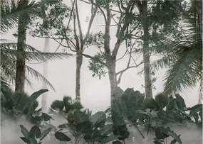 Obraz - Jungle v rannej hmle (70x50 cm)