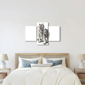 Obraz - Biely tiger (90x60 cm)