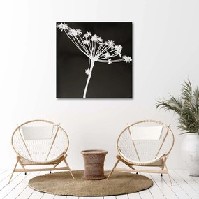 Gario Obraz na plátne Biely tieň Cyperus Rozmery: 30 x 30 cm
