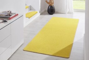 Hanse Home Collection koberce Koberec Fancy 103002 Gelb - 200x280 cm