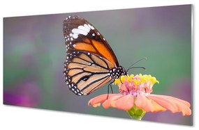 Sklenený obraz Farebný motýľ kvetina 125x50 cm