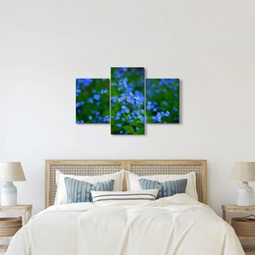 Obraz modrých kvetín (90x60 cm)