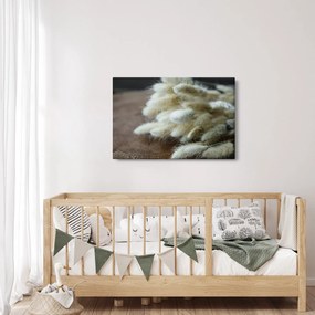 Obraz - Zajačí chvostík (90x60 cm)