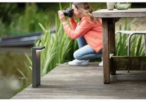 Philips - LED Vonkajšia lampa BUSTAN LED/3,8W/230V 40 cm IP44