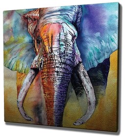 Obraz na plátne Elephant ethno KC306 50x70 cm