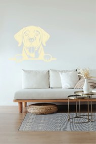 Veselá Stena Samolepka Labradorský retriever Farba: béžová, Veľkosť: 80 x 62 cm