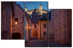 Obraz na plátne - Bratislava staré mesto s hradom vzadu 1265D (90x60 cm)