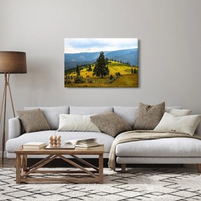 Obraz - Horská lúka (90x60 cm)