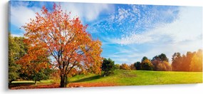 Obraz - Jesenná krajina (120x50 cm)
