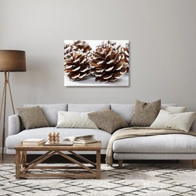 Sklenený obraz - Šišky (70x50 cm)