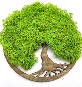 Strom na stenu z machu Faye 20 cm