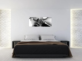 Obraz - Husle (120x50 cm)