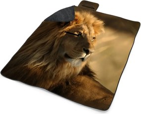 Sablio Plážová deka Lev 3: 200x140 cm