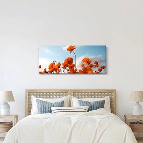 Obraz - Lúčne kvety (120x50 cm)