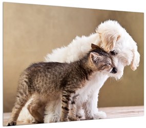 Obraz mačky so psom (70x50 cm)