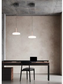 LED stmievateľné závesné svietidlo v čierno-bielo-zlatej farbe so skleneným tienidlom ø 22 cm Celeste – Trio