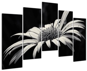 Čiernobiely obraz kvetu