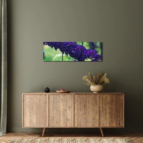 Obraz modrej kvetiny (s hodinami) (90x30 cm)