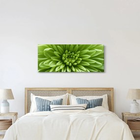 Obraz - Makro snímka rastliny (120x50 cm)