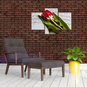 Obraz červeného tulipánu (90x60 cm)