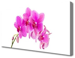 Obraz Canvas Vstavač kvet orchidea 125x50 cm