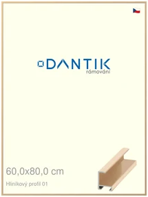 DANTIK rám na obraz 60x80 | ALU Zlatá lesklá (Plexi Čiré)