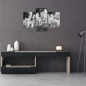 Obraz - Letná lúka (90x60 cm)