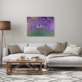 Sklenený obraz - Motýľ v levanduli (70x50 cm)