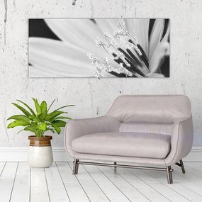 Obraz - Čiernobiely kvet (120x50 cm)