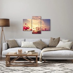 Obraz - Lúka s kvetmi (90x60 cm)