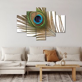 Obraz pávieho peria (150x105 cm)