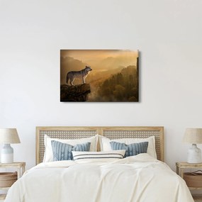Obraz vlka na skale (90x60 cm)