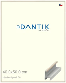 DANTIK rám na obraz 40x50 | ALU Dýha slovnová kost (Sklo Čiré)