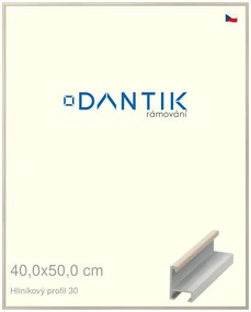 DANTIK rám na obraz 40x50 | ALU Dýha slovnová kost (Sklo Čiré)