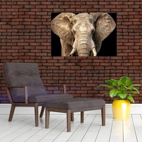 Obraz - Slon africký (90x60 cm)