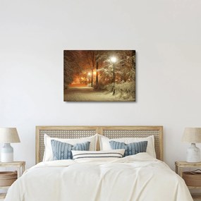 Obraz - Zasnežený park (70x50 cm)