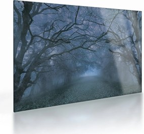 Sklenený obraz lesa v hmle (70x50 cm)