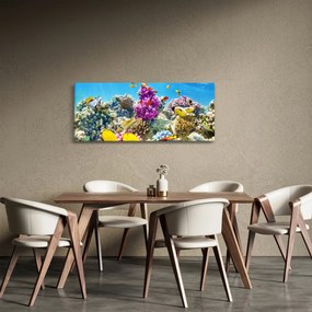 Obraz - Morský svet (120x50 cm)