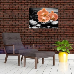 Sklenený obraz - Oranžové orchidey (70x50 cm)