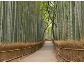 Fototapeta, Bambus, 315 x232cm