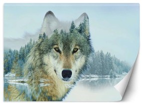 Fototapeta, Vlk na pozadí lesa - 100x70 cm